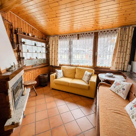 Zoncolan Mountain - Ride & Apartment