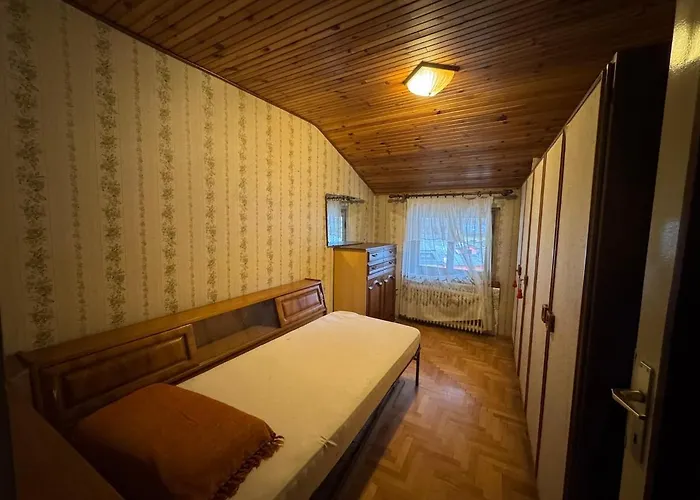 Zoncolan Mountain - Ride &