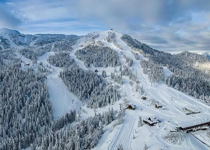 Zoncolan Mountain - Ride & * Timau